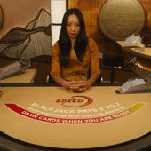 한국어 스피드 블랙잭 L icon